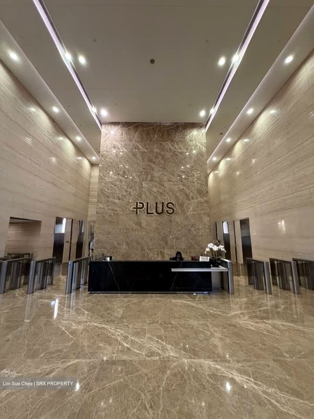 PLUS (D1), Office #556814021